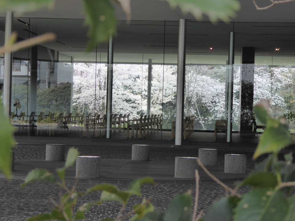 P1030982_mid.jpg