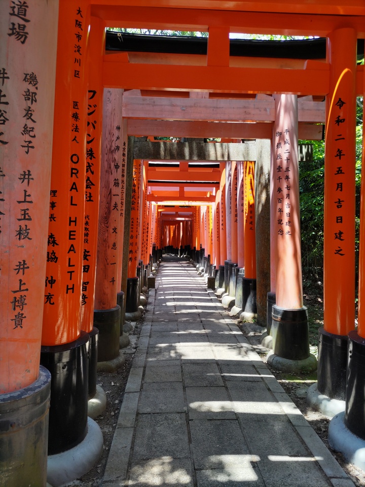 DSC_1019_mid.jpg