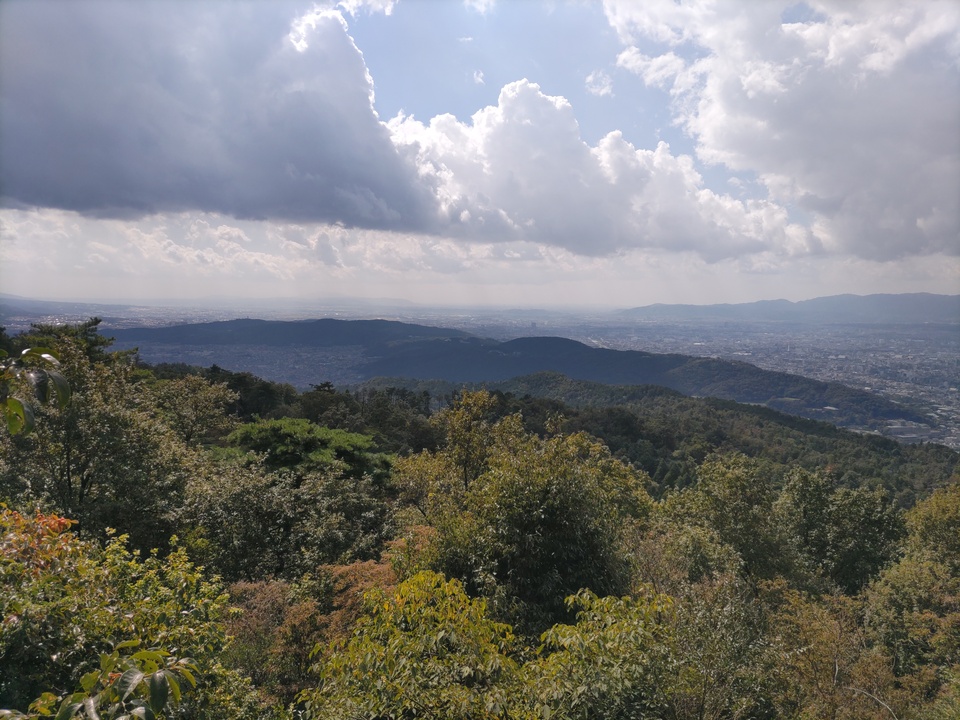 DSC_2030_mid.jpg