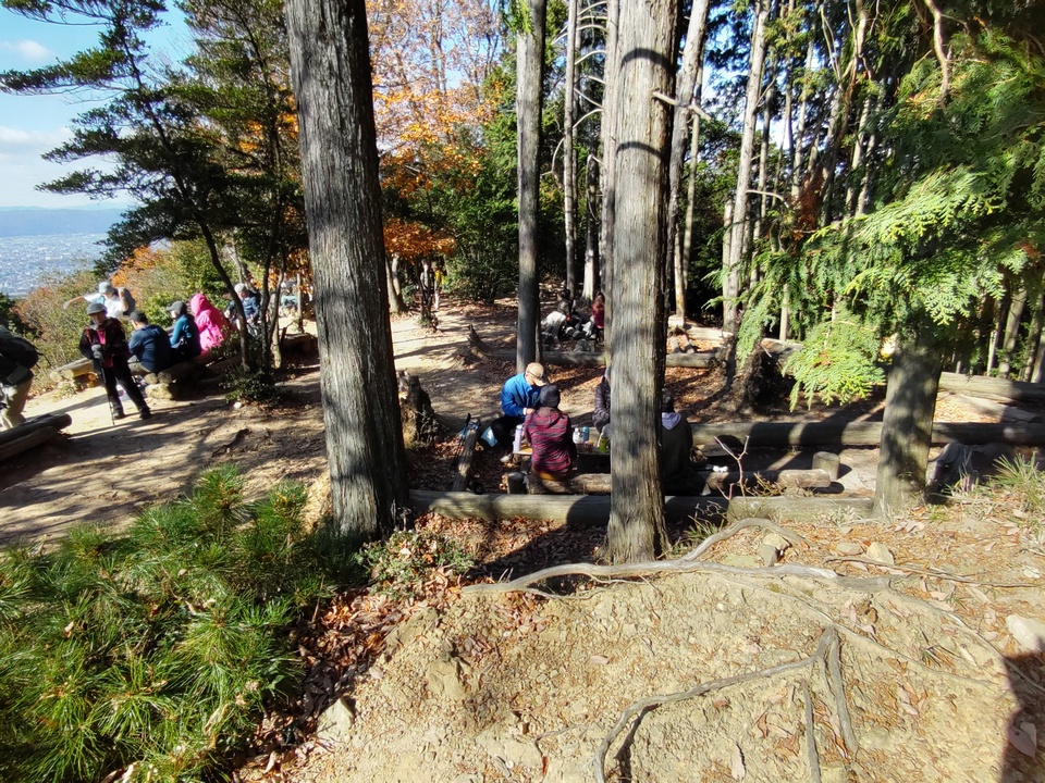 DSC_3940_mid.jpg