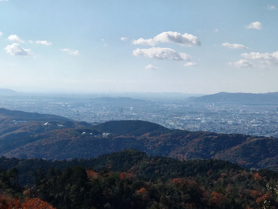DSC_3942_mid.jpg