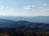 DSC_3942_thumb.png