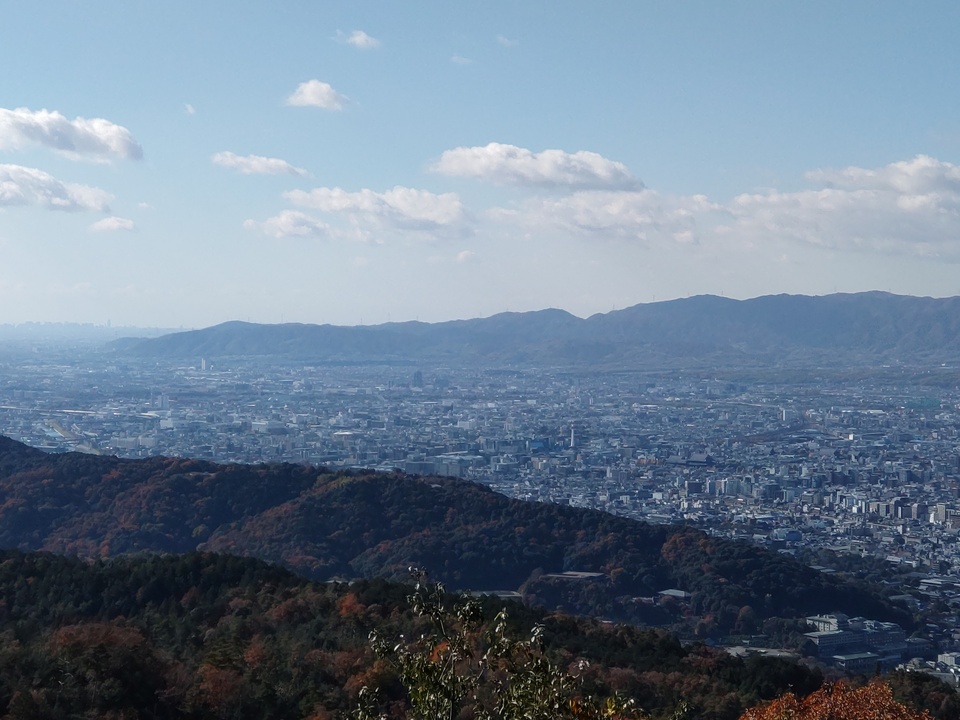 DSC_3945_mid.jpg