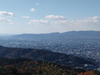 DSC_3945_thumb.png