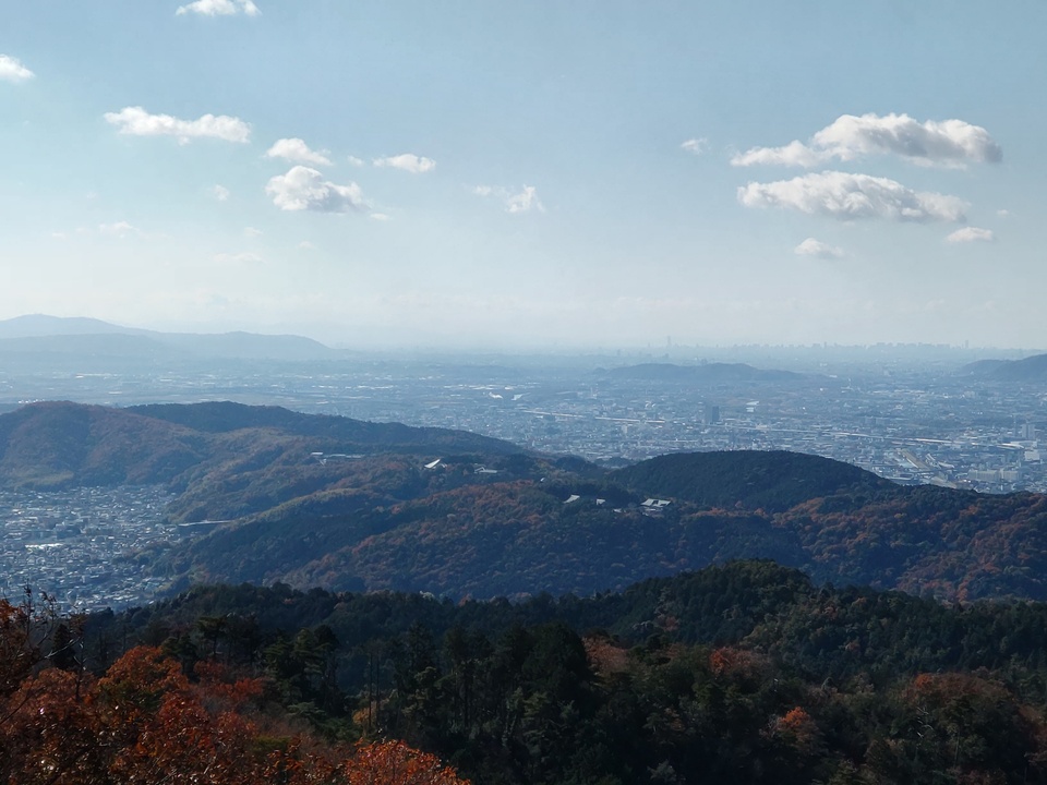DSC_3946_mid.jpg