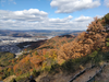 DSC_3950_thumb.png