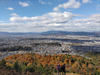 DSC_3952_thumb.png
