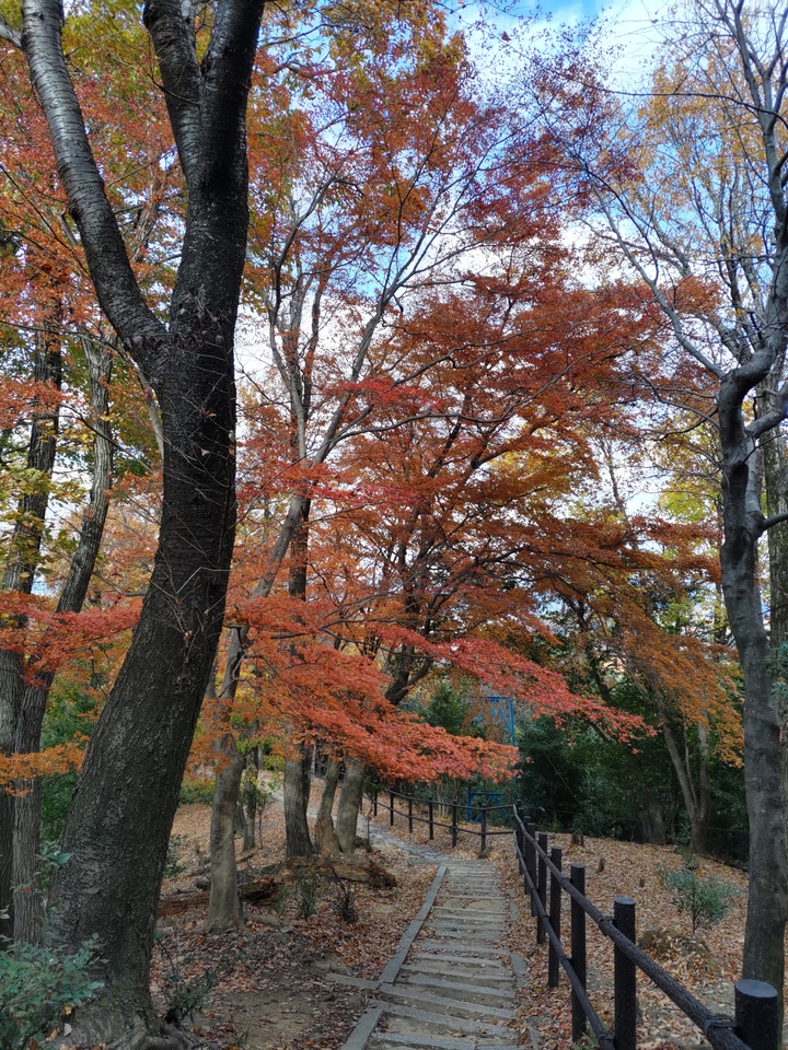 DSC_3956_mid.jpg