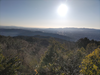 DSC_4058_thumb.png