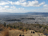 DSC_4108_thumb.png