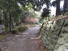 DSC_4182_thumb.png