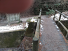 DSC_4183_thumb.png