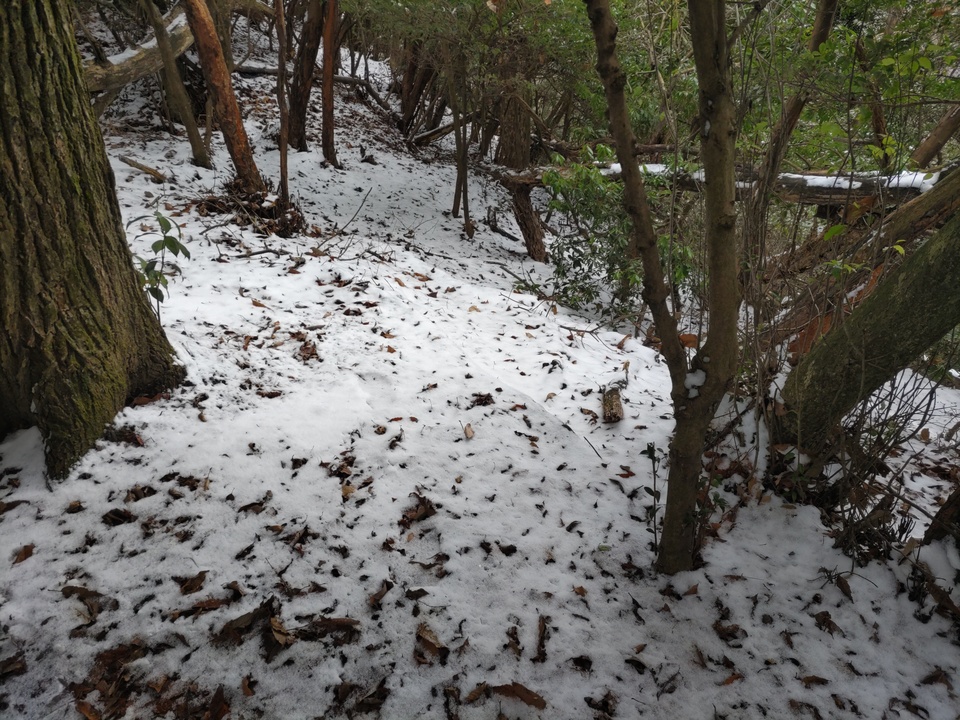 DSC_4187_mid.jpg
