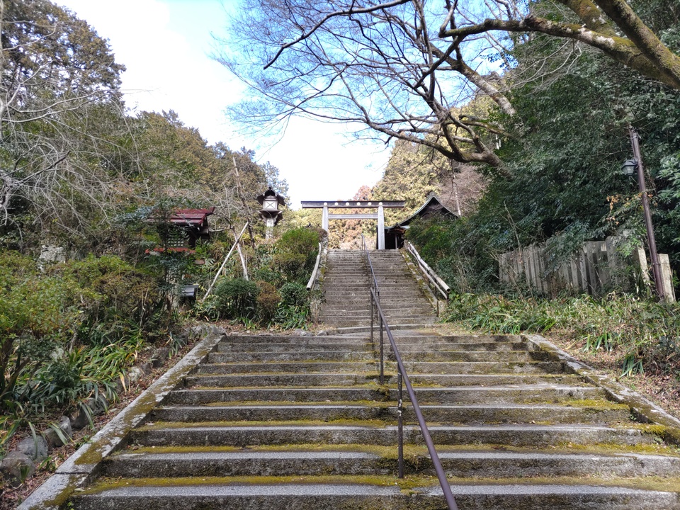 DSC_4202_mid.jpg