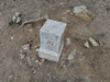 DSC_4216_thumb.png