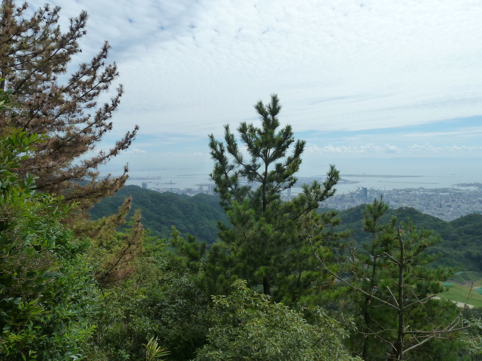 P1110908_mid.jpg