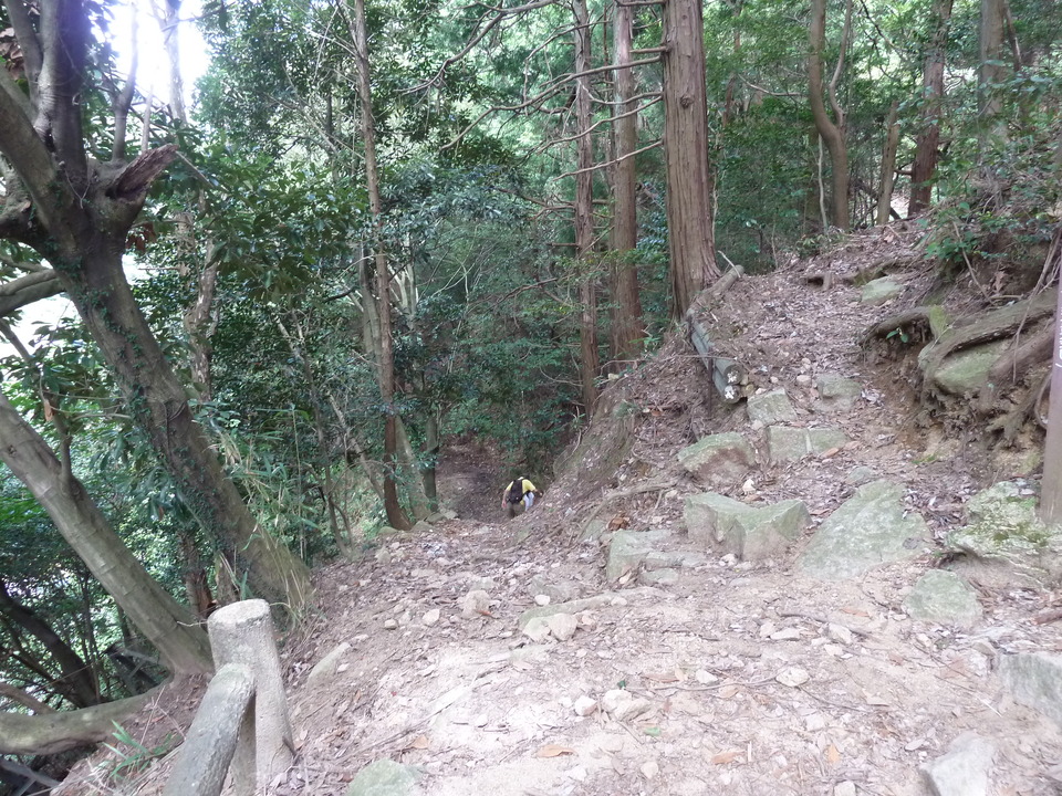 P1110966_mid.jpg
