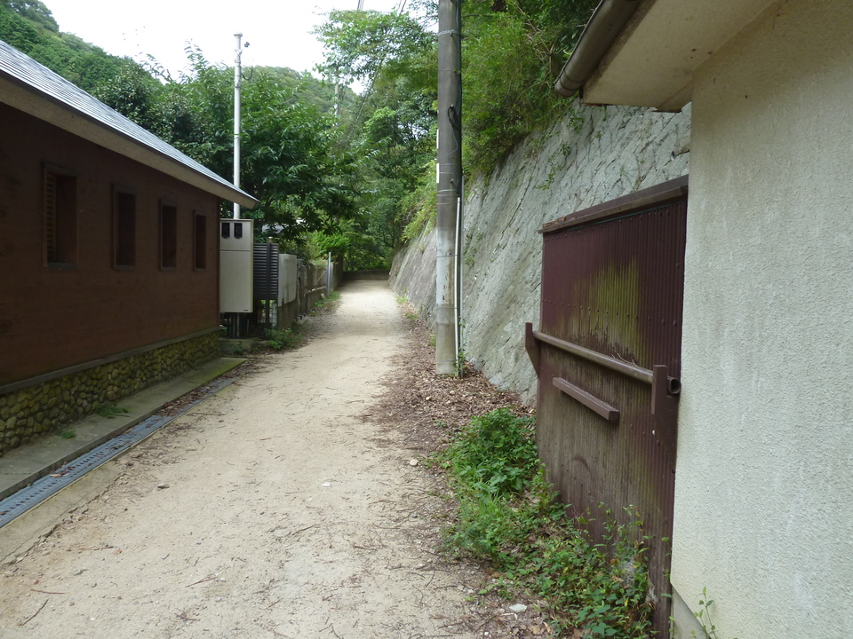 P1120058_mid.jpg