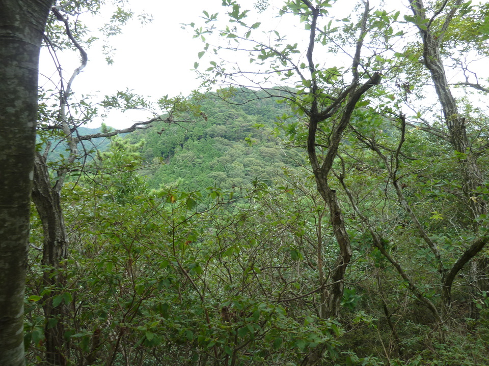P1120081_mid.jpg