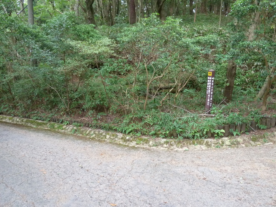 P1120155_mid.jpg