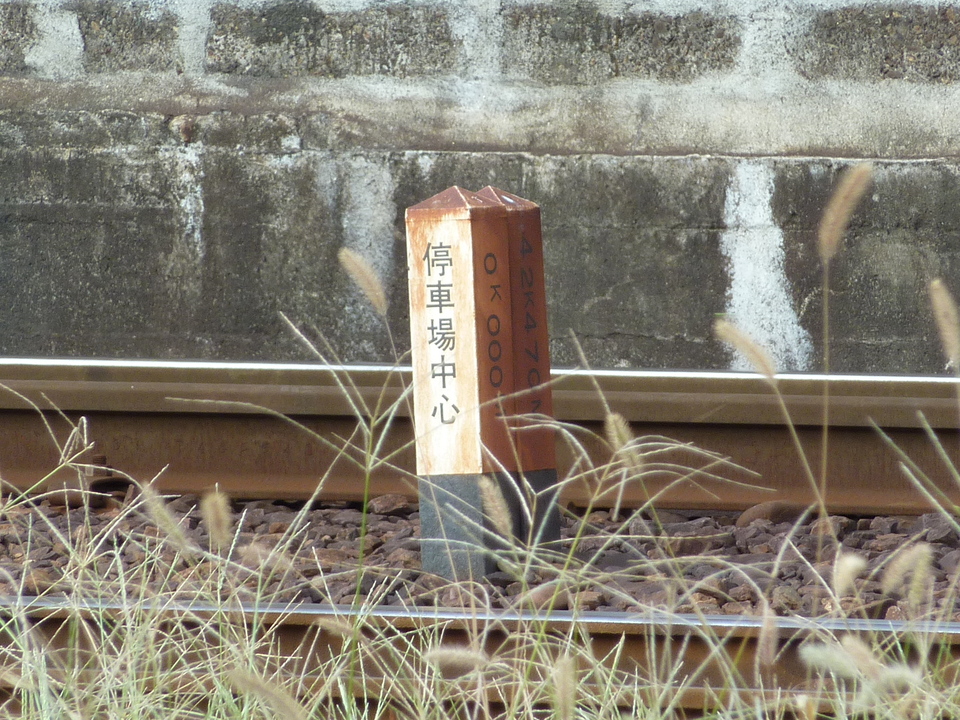 P1040864_mid.jpg