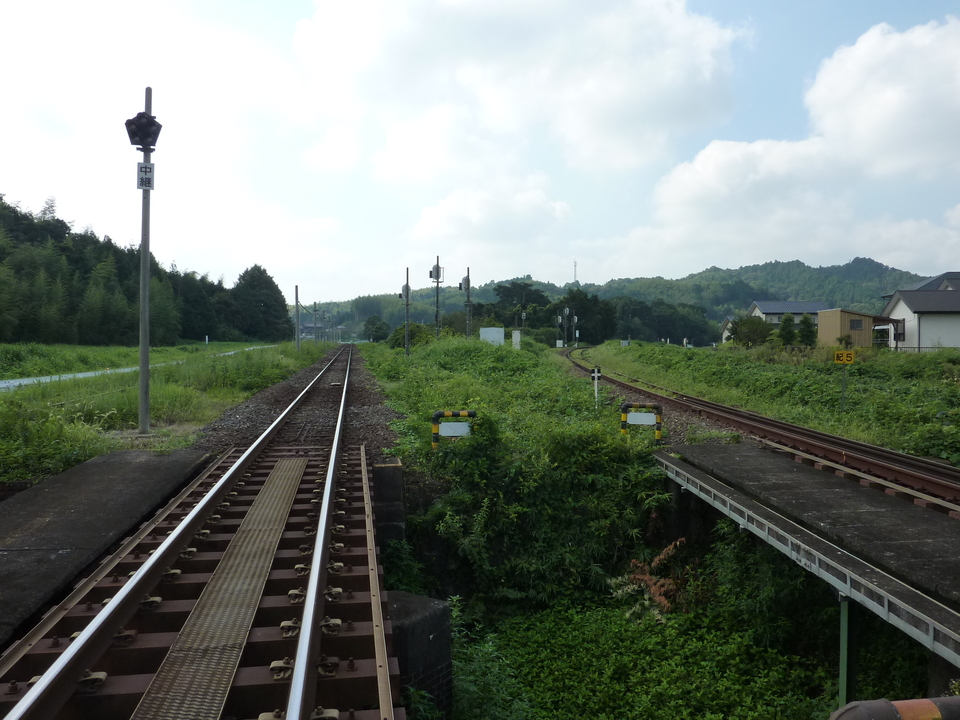 P1040871_mid.jpg