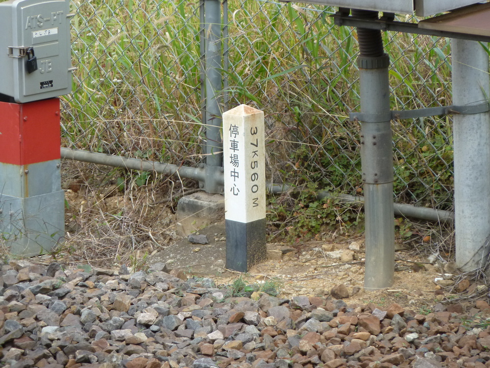 P1000147_mid.jpg