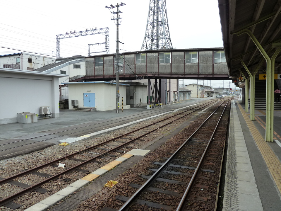 P1000164_mid.jpg