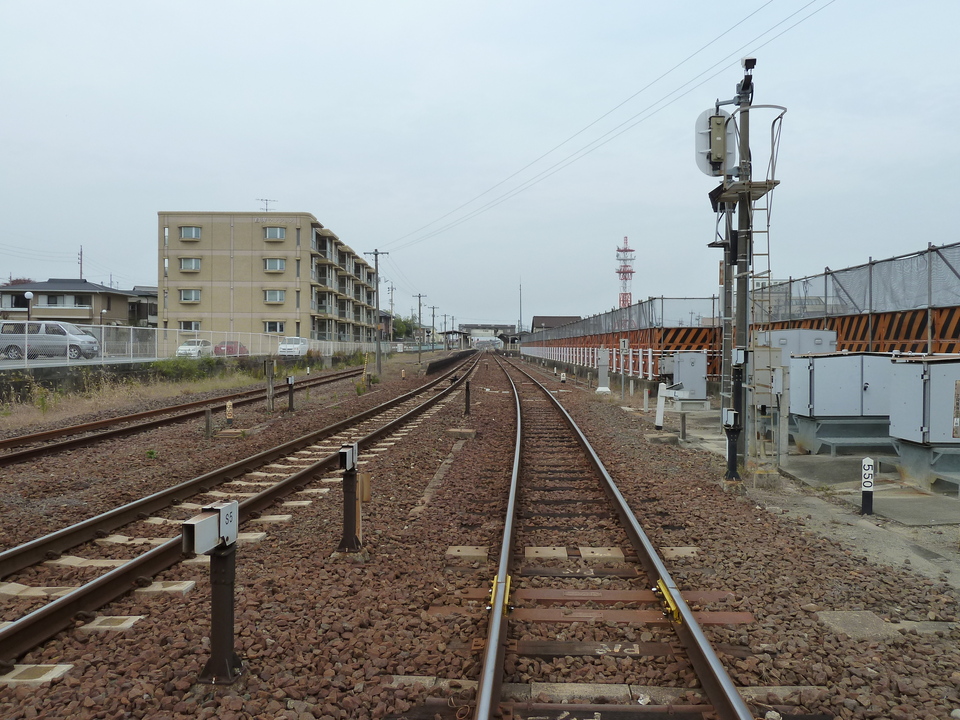 P1000196_mid.jpg