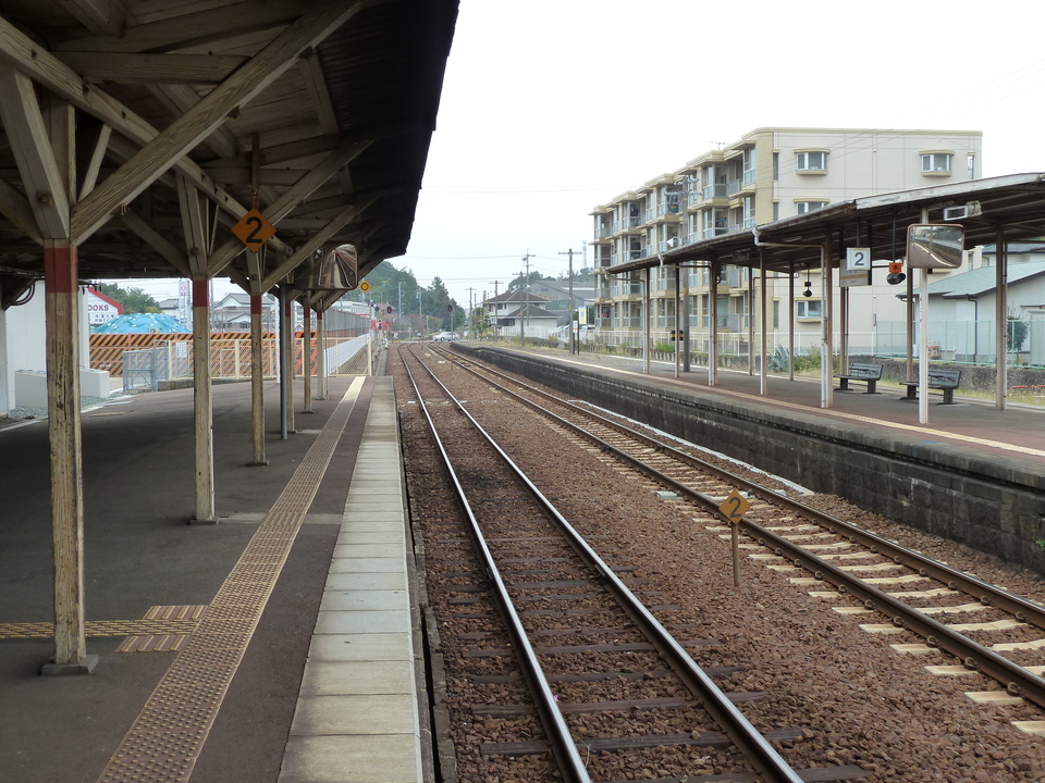 P1000204_mid.jpg