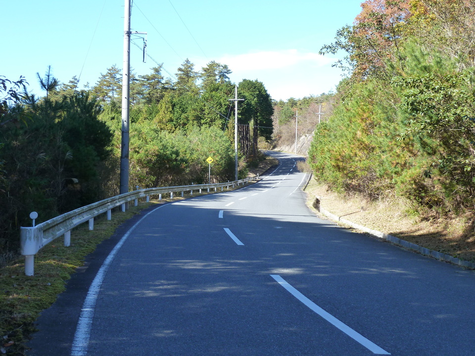 P1050940_mid.jpg