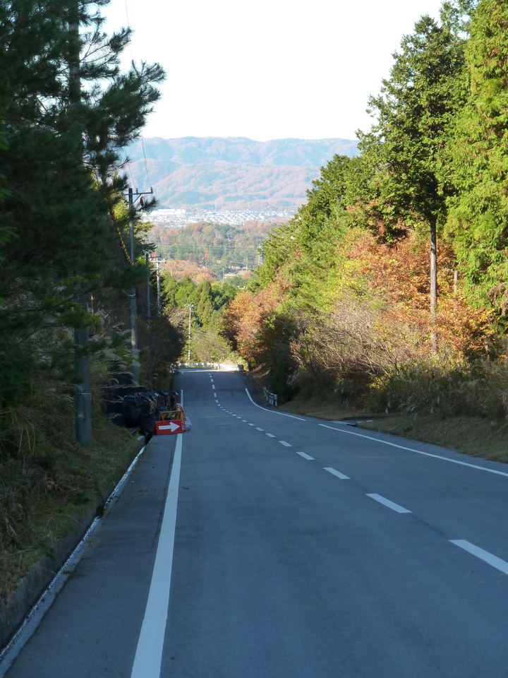 P1050946_mid.jpg
