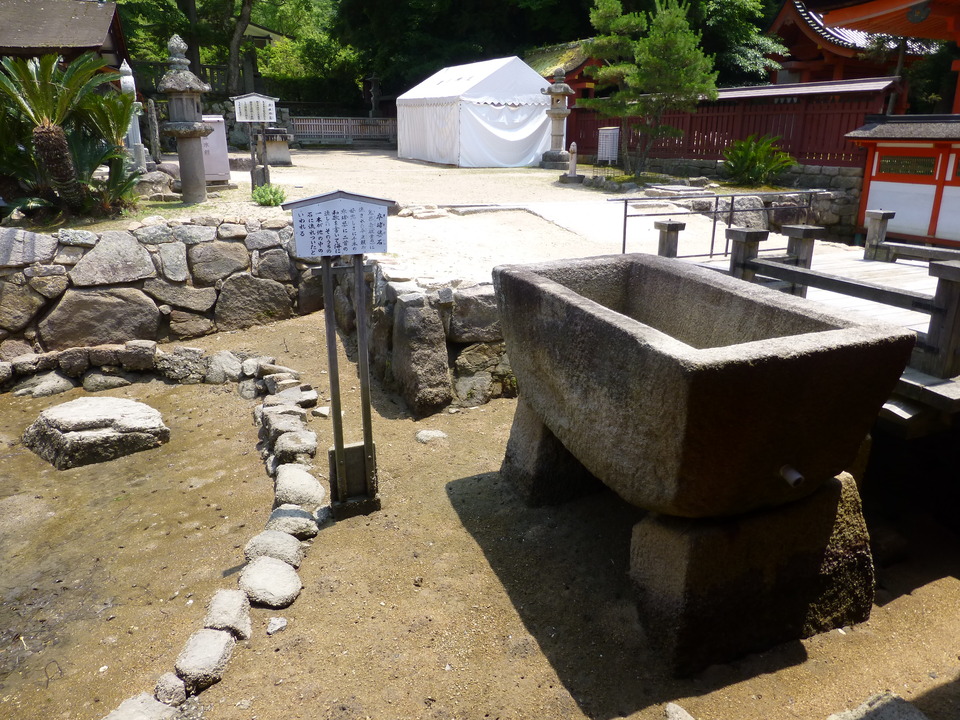 P1090222_mid.jpg