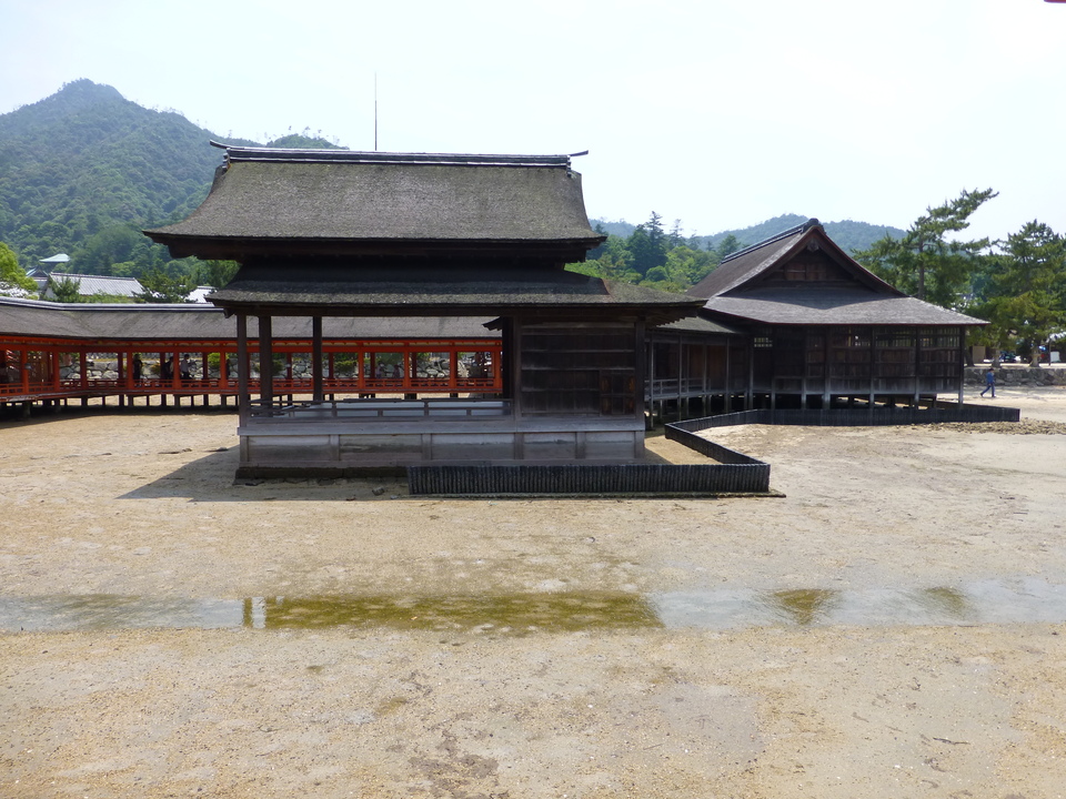P1090246_mid.jpg