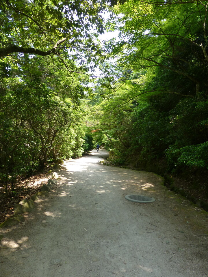 P1090254_mid.jpg