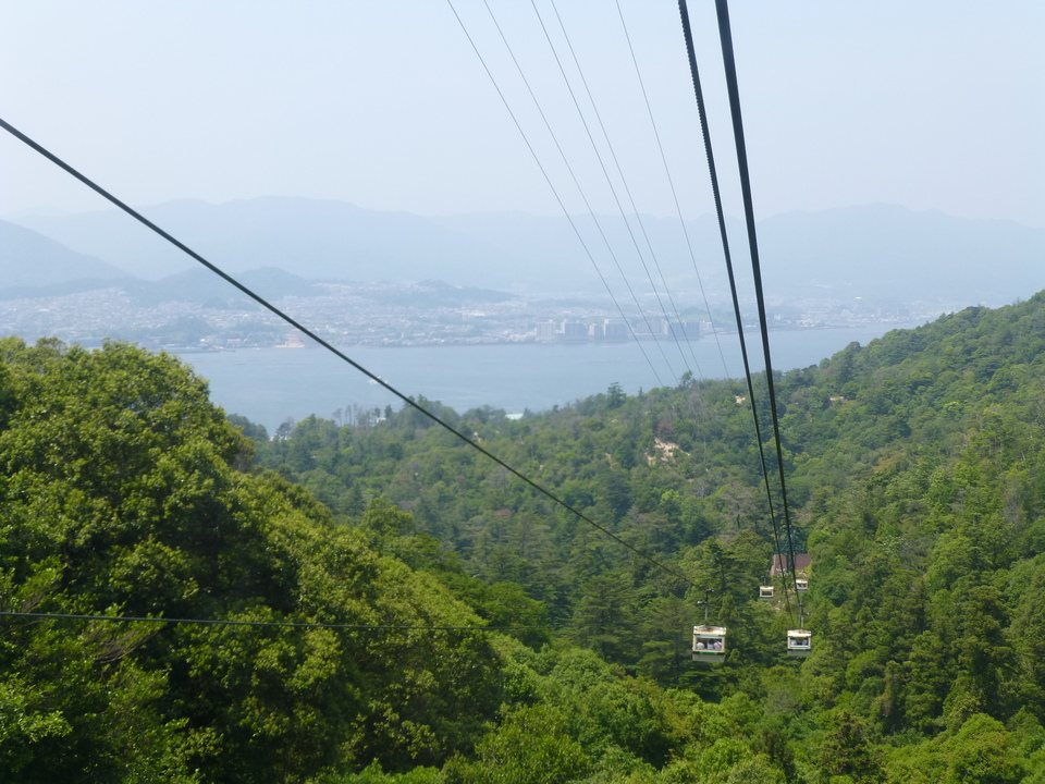 P1090260_mid.jpg