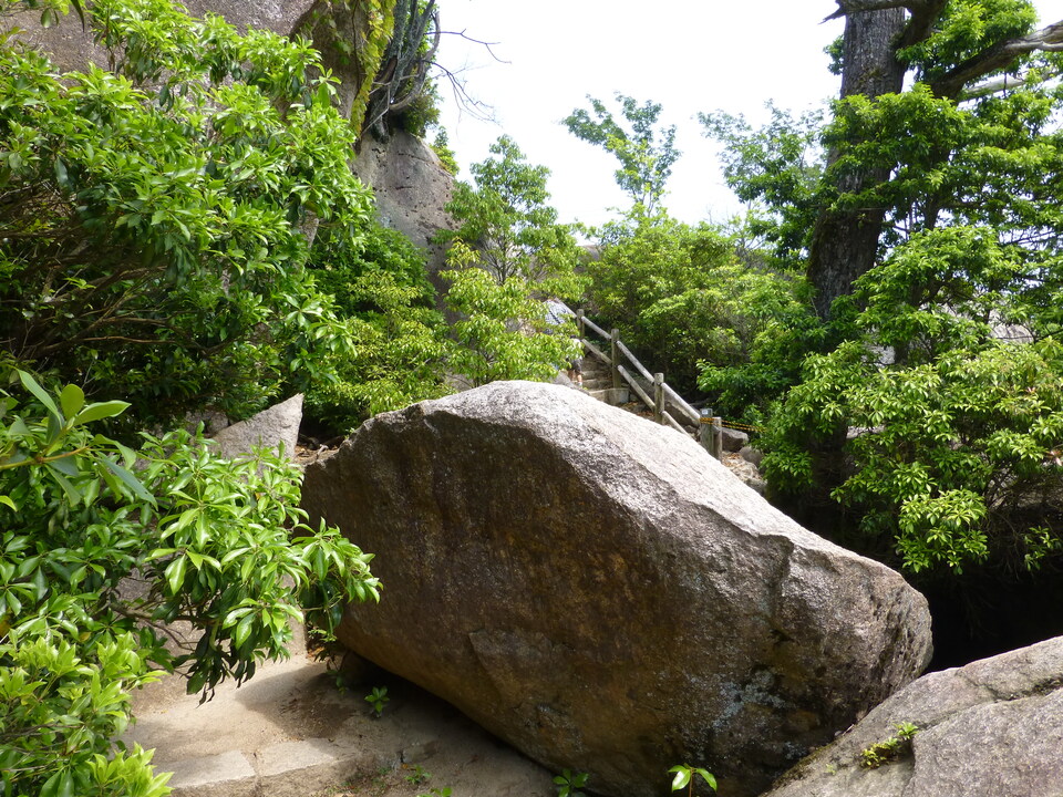 P1090294_mid.jpg