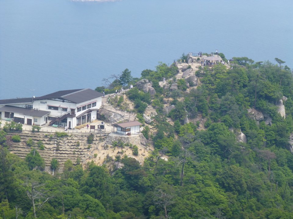 P1090307_mid.jpg