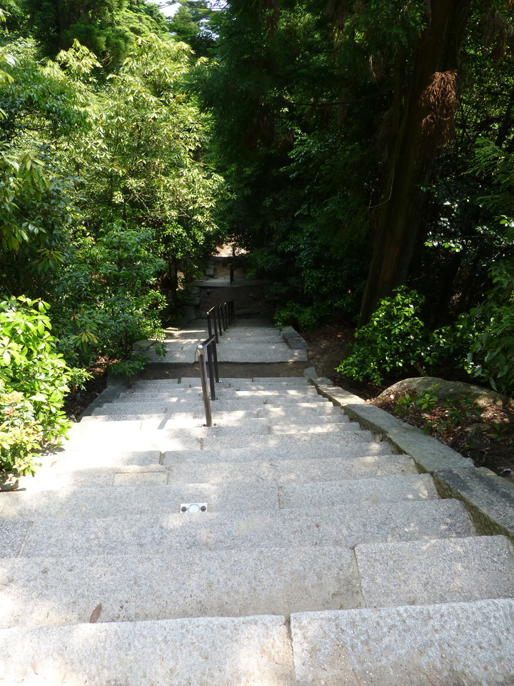 P1090322_mid.jpg