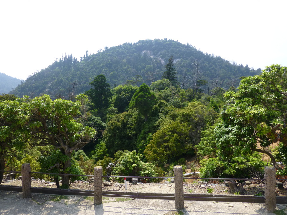 P1090325_mid.jpg