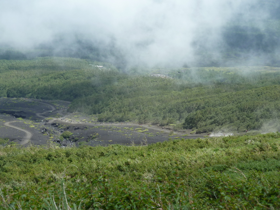 P1040679_mid.jpg