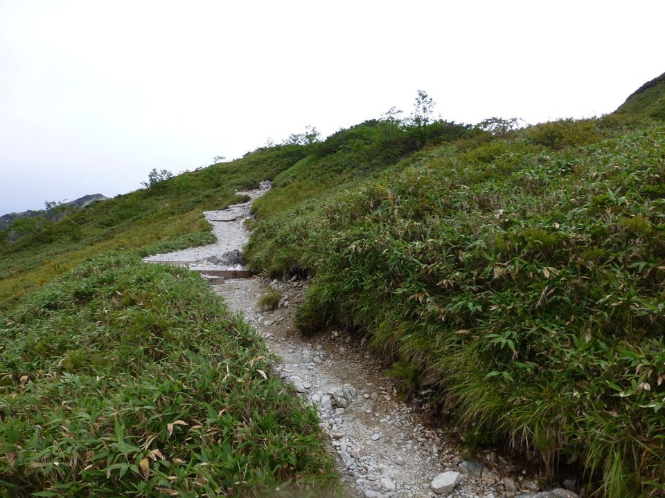 P1100648_mid.jpg