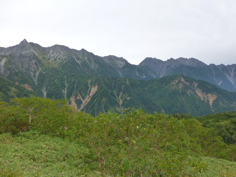 P1100652_mid.jpg