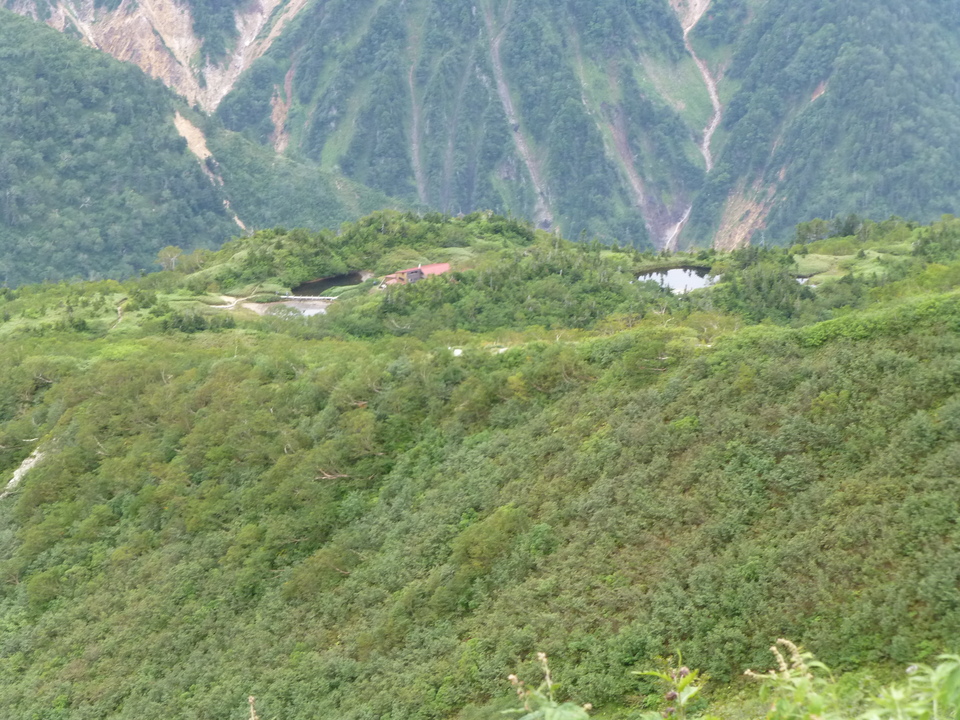 P1100654_mid.jpg