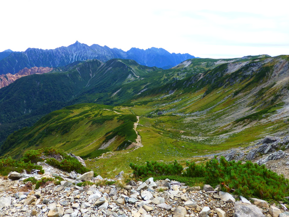 P1100736_mid.jpg