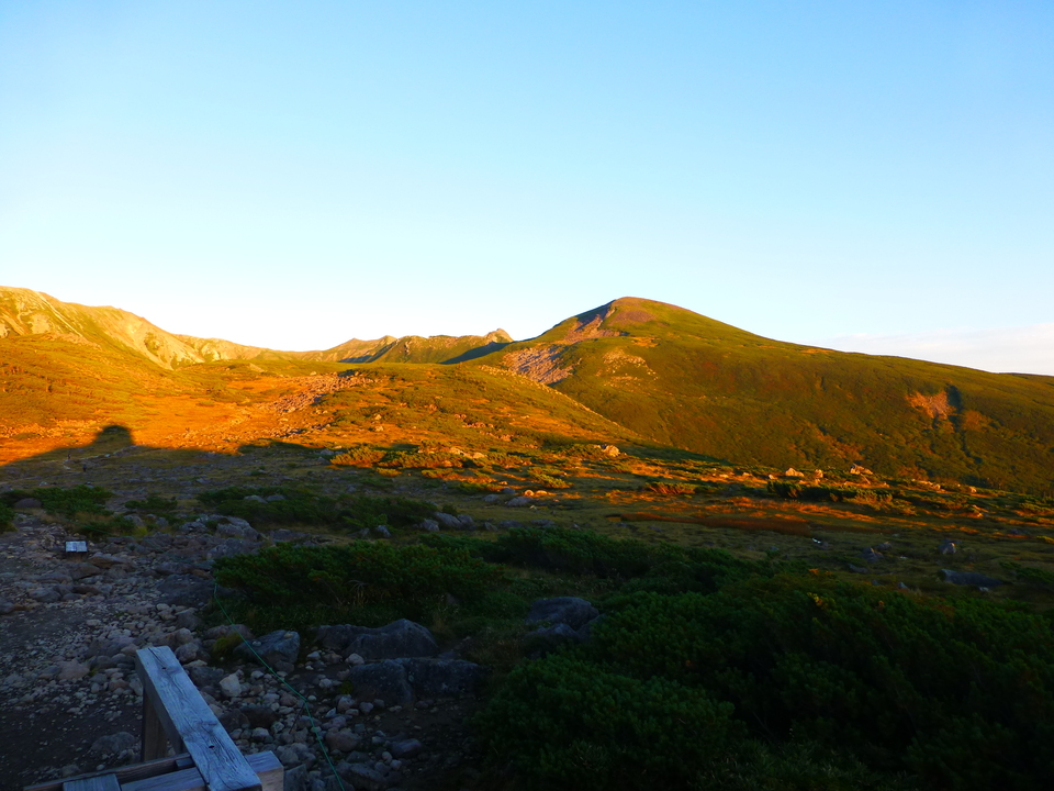 P1100755_mid.jpg