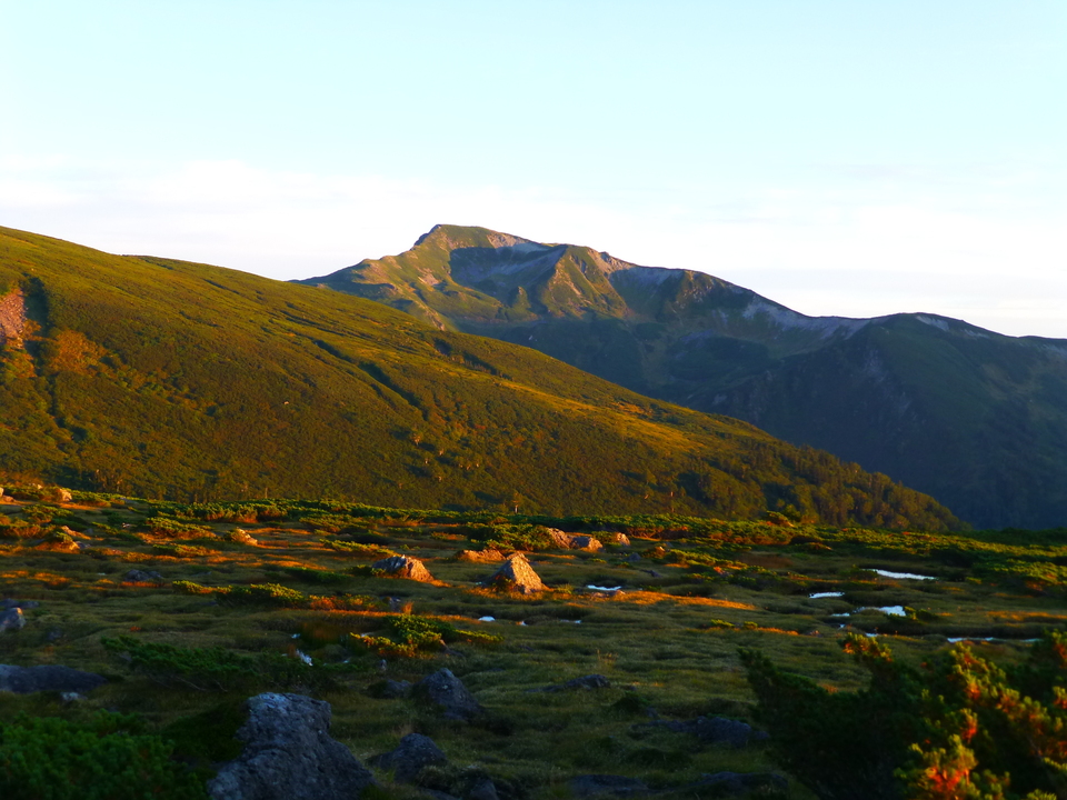 P1100756_mid.jpg