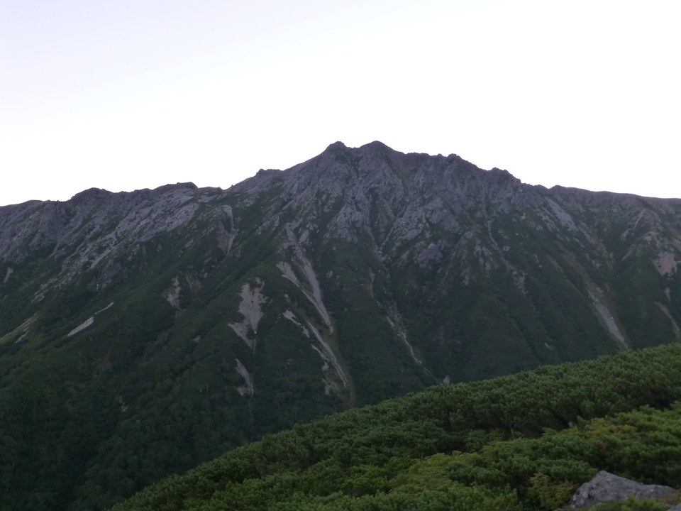 P1100764_mid.jpg