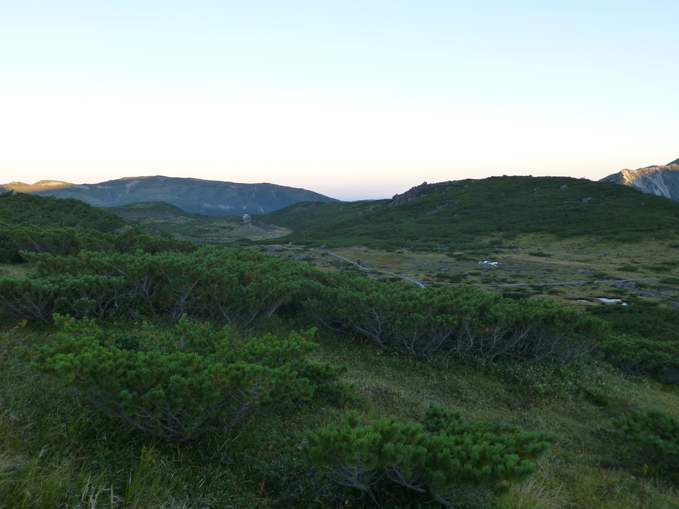 P1100772_mid.jpg