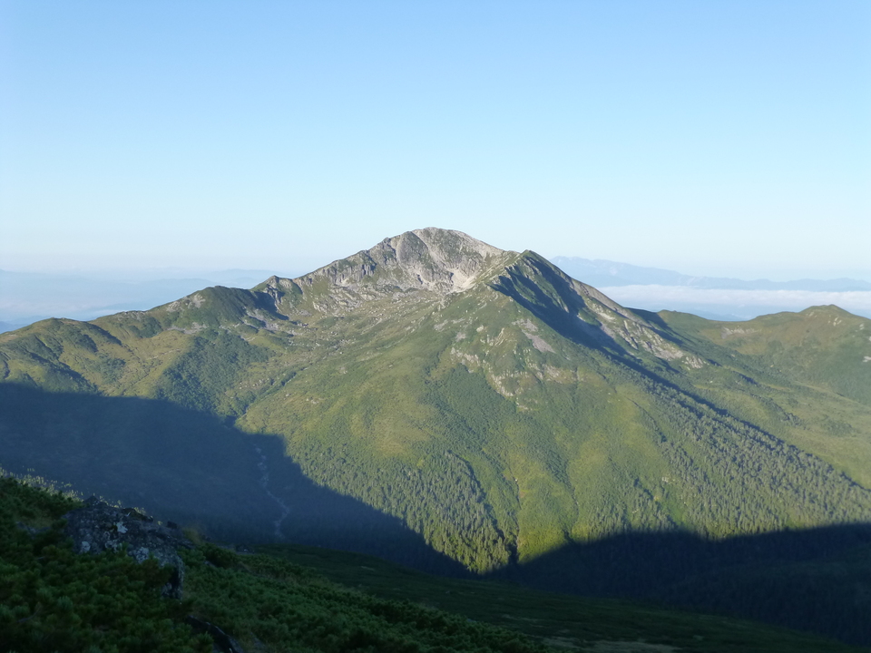 P1100777_mid.jpg